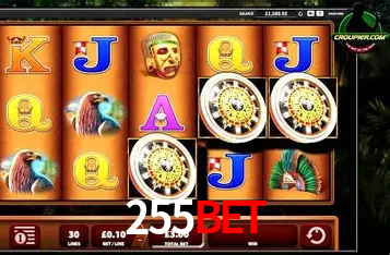 Explorando a Categoria de Eventos em Apostas na 255Bet