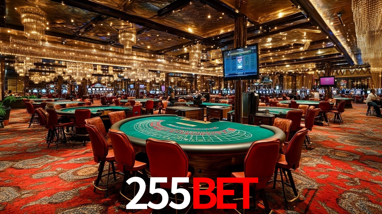 255Bet: Seu Especialista em Apostas Esportivas Brasileiras